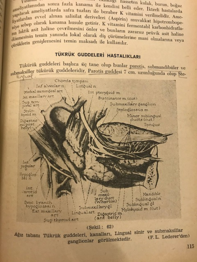 KULAK BURUN BOGAZ HASTALIKLARI  EL KİTABI  1967 İSTANBUL TIP FAKULTESİ ÜNİVERSİTESİ 