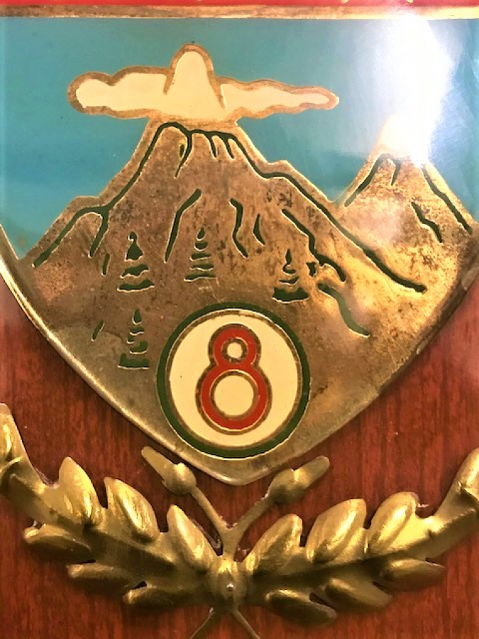 8 .ORDU KARA KUVVETLERİ ÜSTÜM BAŞIRI PLAKEDİ ŞİLT 1972 TARİHLİ KIDEMLİ ALBAY AHŞAP ÜZERİNE PİRİNC CELENK VE SICAK MİNELİDİR