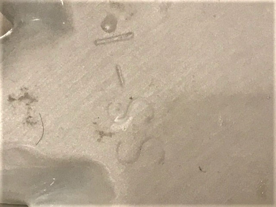 PORSELEN EL İŞCİLİKLİ SOUK DAMGALI BİBLO KÖPEK