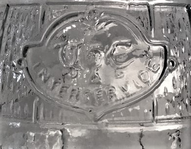 CAM MANTARLI ŞARAP FICISI