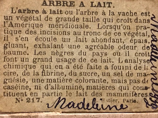 1900 YILLARDA BON POINT  ARBERE A LAIT FRANSADA OKULDA SINIFDA BAŞARI GÖSTEREN TALEBELERE VERİLEN KART
