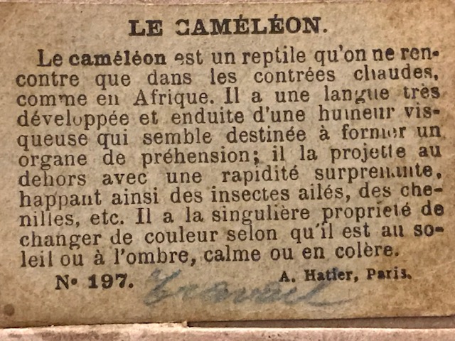 1900 YILLARDA BON POINT LE CAMELEON FRANSADA OKULDA SINIFDA BAŞARI GÖSTEREN TALEBELERE VERİLEN KART