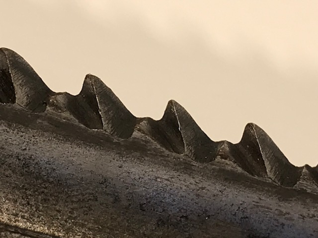 1915 ALMAN SEITENGEWEHR M1884 / 98 N.A. MIT SÄGERÜCKEN GEBRÜDER HELLER MARIENTHAL ŞAVAŞ GÖRMÜŞ ALMAN ASKERİ SÜNGÜ