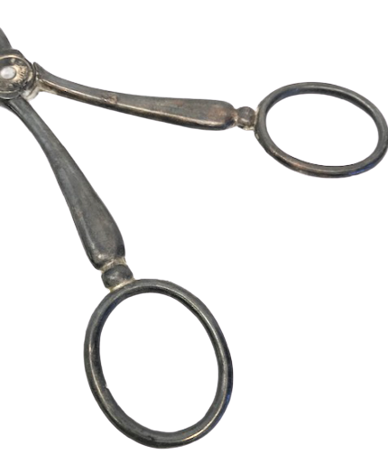 KEK PASTA BÖREK SERVİS MAŞASI GÜL MOTİF GÜMÜŞ KAPLAMA 22 CM BOY