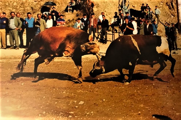 CUMHURİYETİN 80. YILINDA ARTVİN TANITIM KİTABI