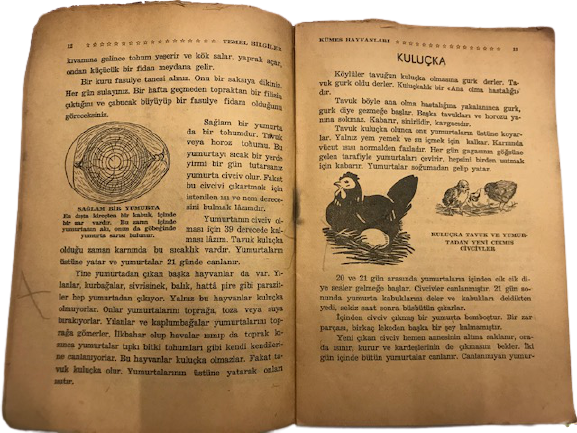 KÜMES HAYVANLARI İLKOKULA TEMEL BİLGİLER 