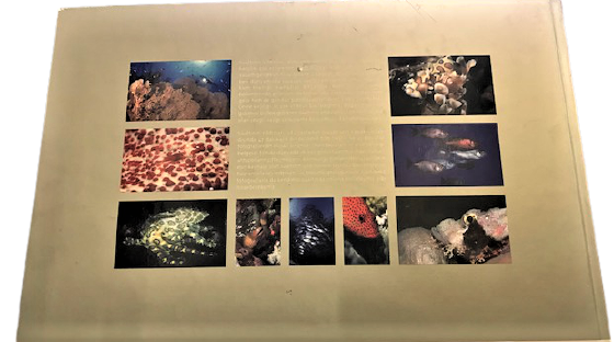 SUALTININ YILDIZLARI ALPTEKİN BALOĞLU 1. BASKI 2003