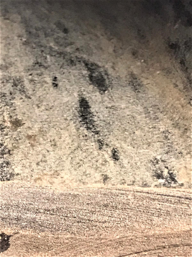 TAMAMI BOYNUZDAN USTA İŞİ  EL OYMASI İLE YAPILMIŞ FİL AHŞAP KAİDE ÜZERİNDE DİŞLERİ FİL DİŞİNDEN 