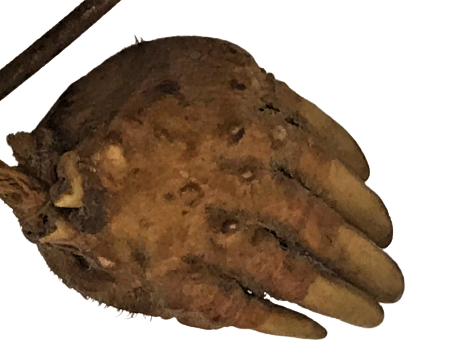 NAZAR HASTALIK ZERZELE DEPREM DUASI CERCEVESİNDE KİRPİ ELİ HURMA CEKİRDEGİNDEN AYAKKABI VE AT NALI BULUNMAKTADIR