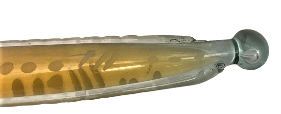 KILIC CAM ÜZERİ İŞLEMELİ ŞİŞE ŞEKLİNDE GÜRCÜ ETİKETLİ İÇKİ ŞİŞESİ