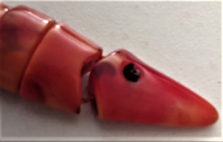 ZAZA BALIK 11 HABBELİ TESBİH 16 CM 