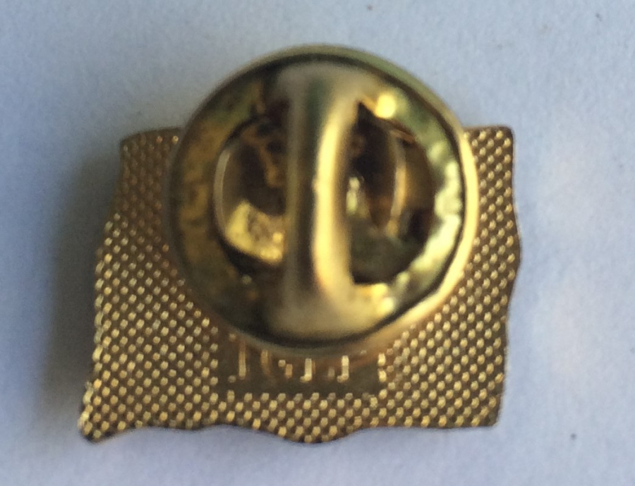 AVRUPA BİRLİĞİ TEMALI YAKA İĞNESİ