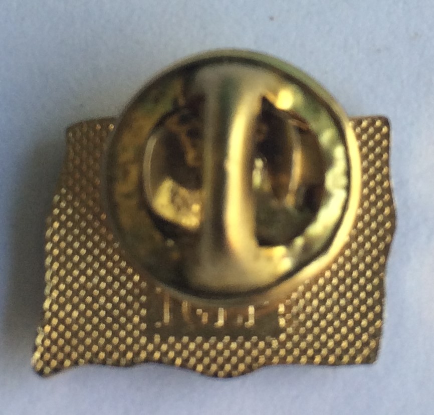 AVRUPA BİRLİĞİ TEMALI YAKA İĞNESİ