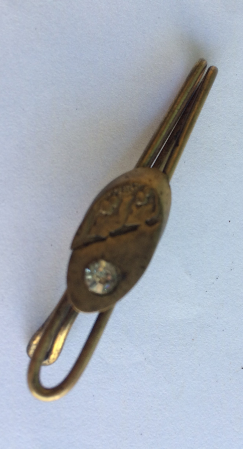 KRAVAT İĞNESİ ÜZERİ TAŞLI PİRİNÇ 