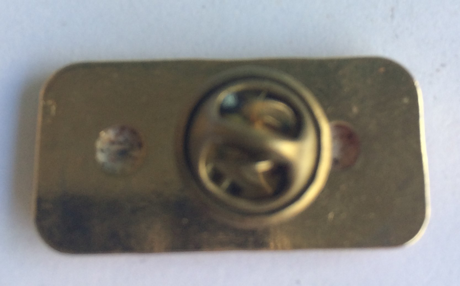 TÜRKİYE CUMHURİYETİNİN 75 YILI TEMALI YAKA İĞNESİ