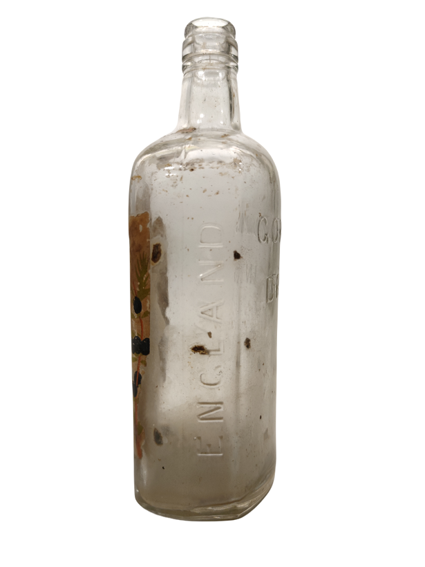 GORDON'S DRY GIN İÇKİ ŞİŞESİ BOŞ 