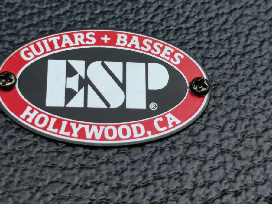 USA HOLLYWOOD ESP GUITARS+BASSES GİTAR ÇANTASI  DERİ KAPLAMA METAL KİLİT SİSTEMLİ TAŞIMA KULPLU