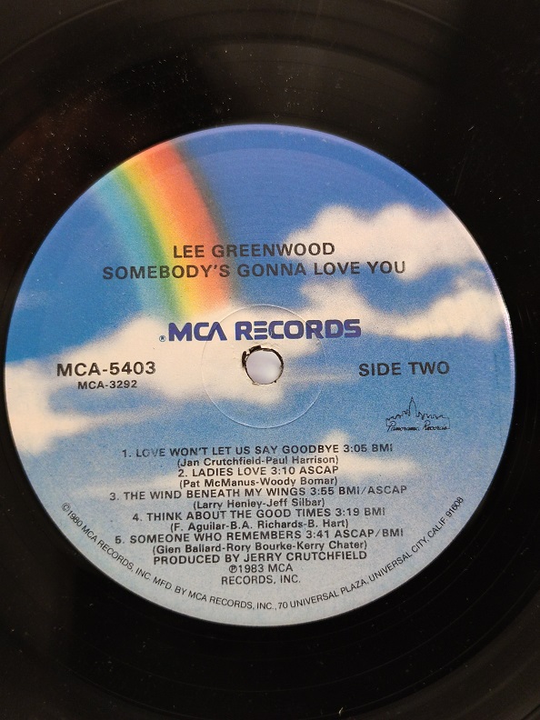 LEE GREENWOOD SOMEBODY'S GONNA LOVE YOU UZUN CALAR 33 DEVİR LP PLAK ORJİNAL KABINDA ORJİNAL BASKISIDIR
