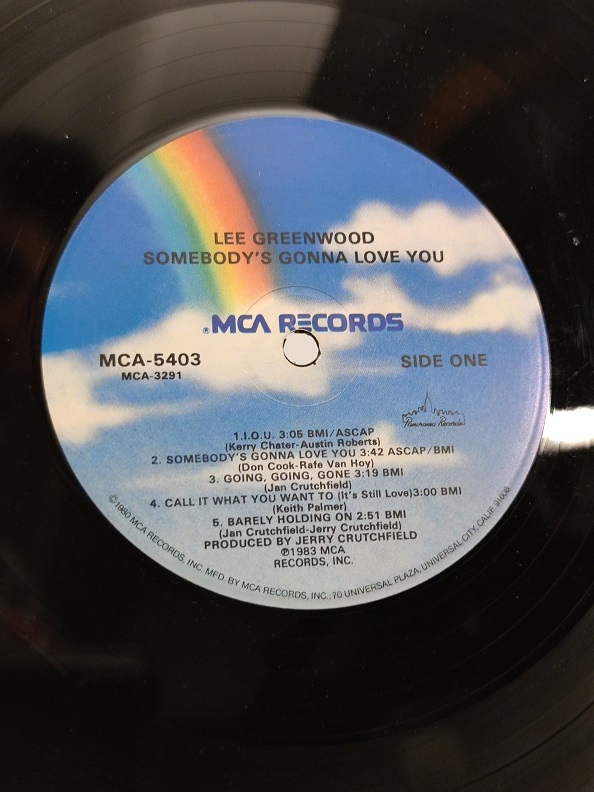 LEE GREENWOOD SOMEBODY'S GONNA LOVE YOU UZUN CALAR 33 DEVİR LP PLAK ORJİNAL KABINDA ORJİNAL BASKISIDIR