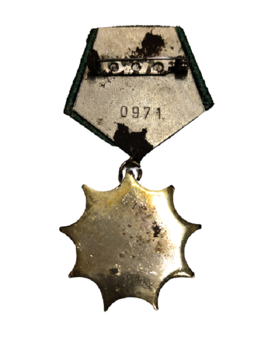 CECEN GROZNİ  SAVUNMA MADALYASI GROZNİ GALİN BJAXUO YAZILI 