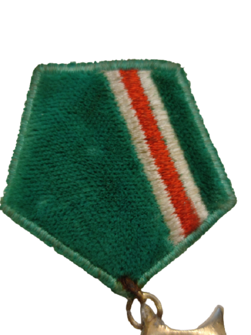 CECEN GROZNİ  SAVUNMA MADALYASI GROZNİ GALİN BJAXUO YAZILI 