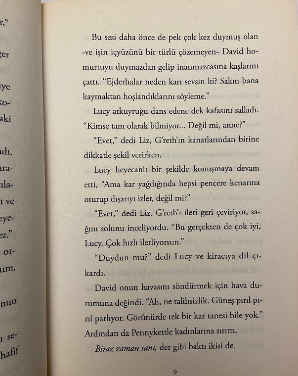 CHRİS D'LACEY BUZ ATEŞİ KİTAP