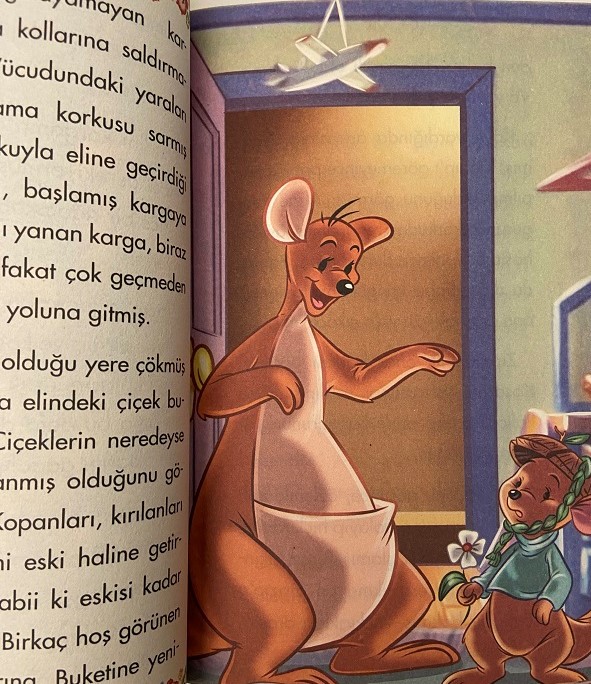 HİNDİSTAN CEVİZİ KOKULU MASALLAR KOKULU KİTAP