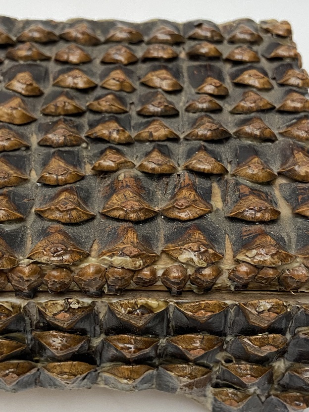 AHŞAP KOZALAK KABUĞU EL YAPIM EL İŞLEMELİ KAPAKLI MÜCEVHER KUTUSU