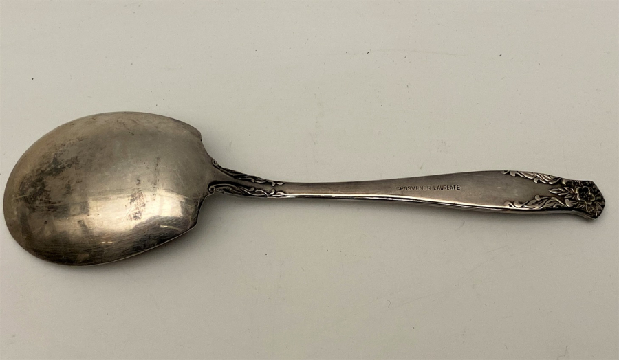 GROSVENOR LAUREATE GÜMÜŞ KAPLAMA İŞLEMELİ SERVİS KAŞIĞI VE SERVİS ÇATALI