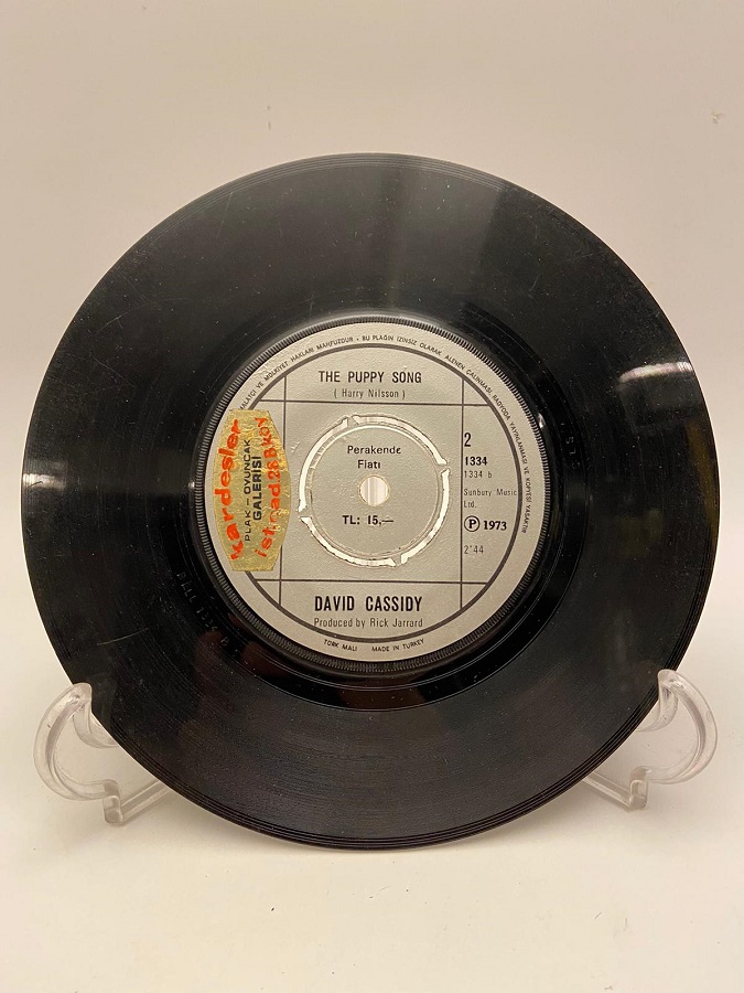 DAVID CASSIDY THE PUPPY SONG - DAYDREAMER 45 LİK YABANCI PLAK