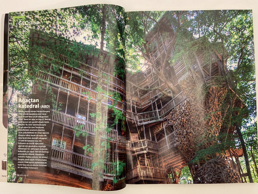 YAPIKREDİ YAYINLARI GEO KÖPEK BALIKLARI DERGİSİ