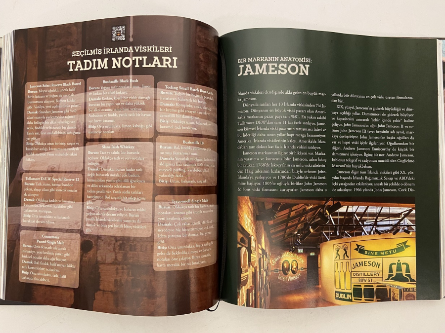 DR. BURKAY ADALIĞ BİR VİSKİ MACERASI MELEKLERİN PAYI KİTABI