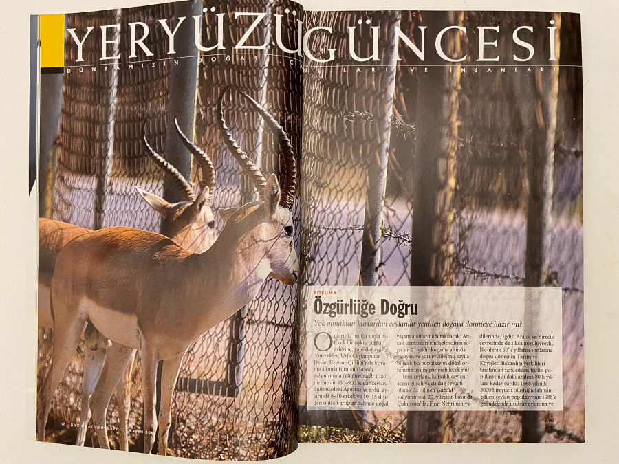 NATIONAL GEOGHRAPHIC TÜRKİYE GÖZ ALTINDAYIZ DERGİSİ