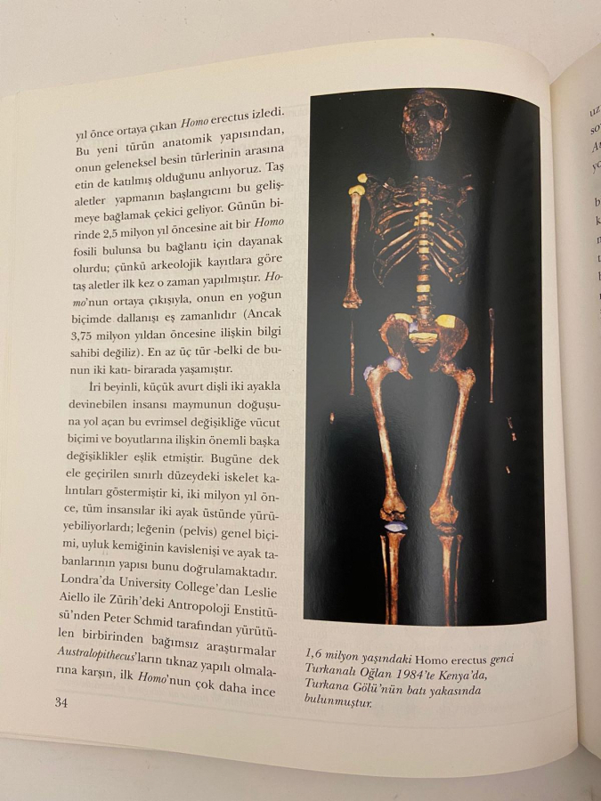 ROGER LEWİN MODERN İNSANIN KÖKENİ KİTAP