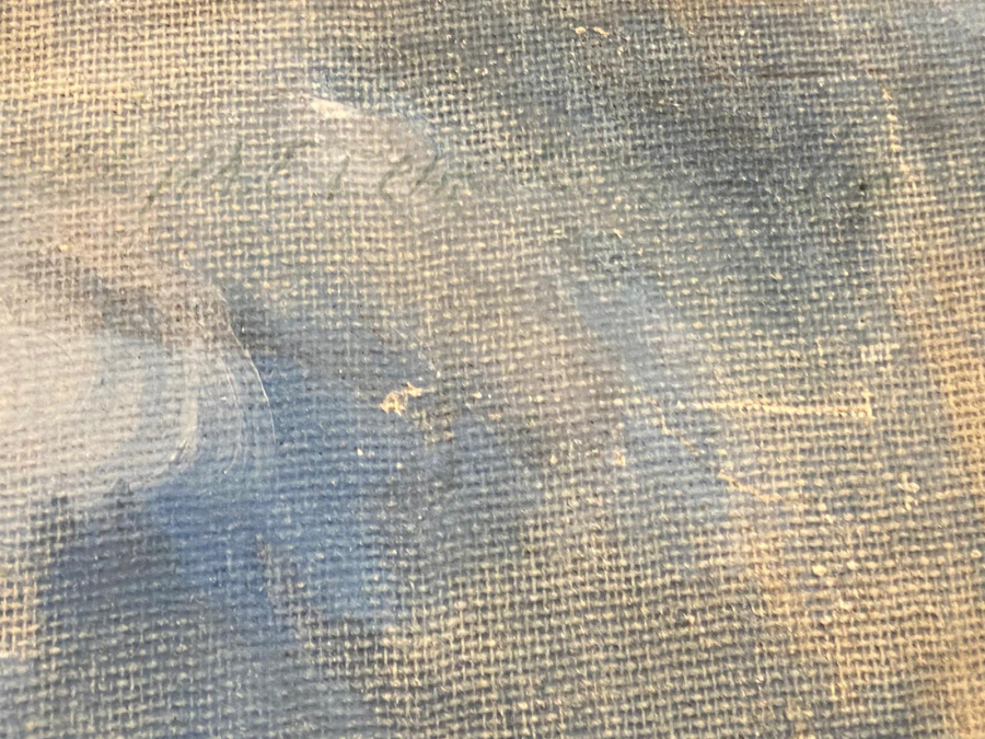 YAĞLI BOYA MANZARA DURALİT ÜZERİNE YAPIŞTIRILMIŞ TUVALE YAPILMIŞDIR TABLO