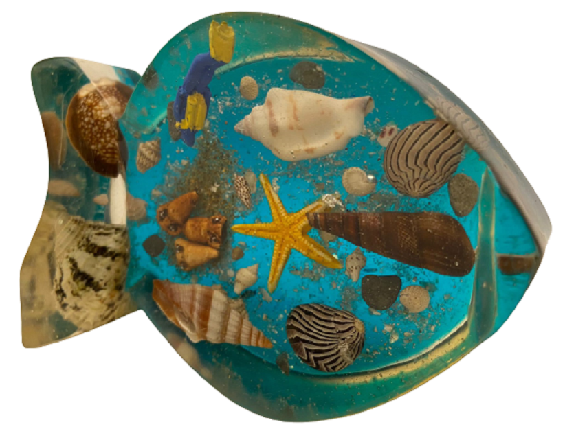 DENİZ KABUKLARIYLA TASARLANMIŞ OKYANUS TEMALI BALIK ŞEKLİNDE  ŞEFFAF AKRİLİK MASA VAYA DUVAR SÜSÜ