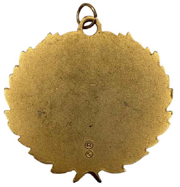 LİONS JOURNEY FOR SİGHT CELENK SICAK MİNELİ YAZILI MADALYON