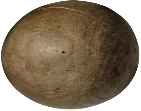 1950 AHŞAP EL TORNASINDA CEKİLMİŞ CORAP TAMİRİ İÇİN KULLANILAN YUMURTA