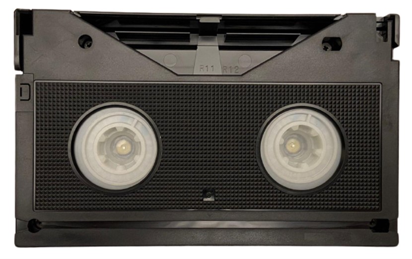 PALERMO YAYINCILIK HAYVANLAR ALEMİ DİNAZORLAR - SÜRÜNGENLER FİLM KASEDİ BETEMAX SİSTEM