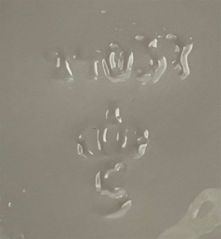 FRANSIZ KRALİYET SOĞUK DAMGALI EL BOYAMA & EL YAPIMI BALERİN FİGÜRÜ KAPAKLI PAMUKLUK