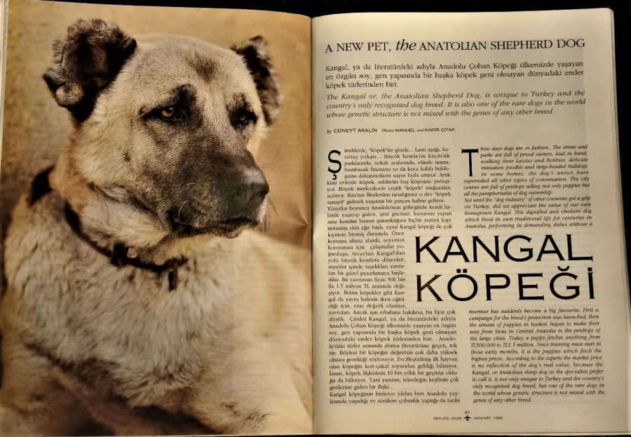 1/1993 YILI SKYLİFE TURKISH AIRLINES THY TÜRK HAVA YOLLARI  AYLIK DERGİ LAMBALAR