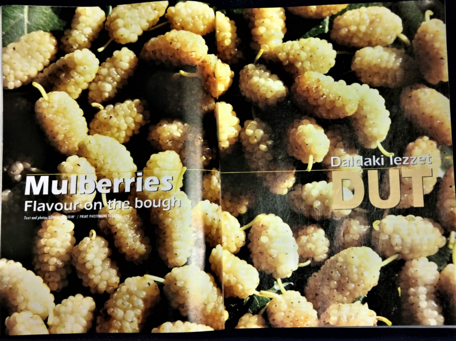 9 / 2000 YILI SKYLİFE TURKISH AIRLINES THY TÜRK HAVA YOLLARI  AYLIK DERGİ DOGUDA İKİ IŞIK AGRI SÜPHAN 