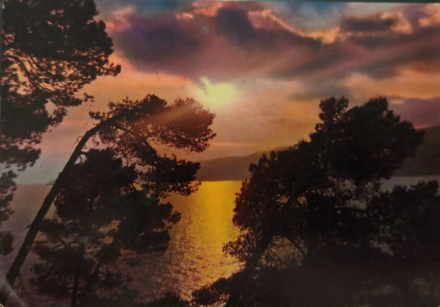 1970 İSTANBUL ADALARDA MEHTAP GÖRÜNTÜSÜ  KARTPOSTAL RENKLİ OFSET BASKI 