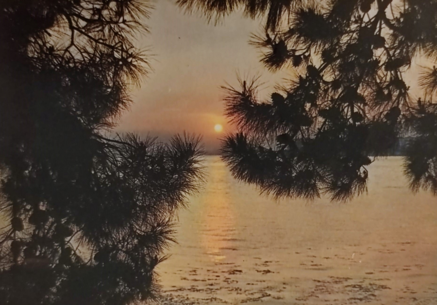 1970 İSTANBUL  ADLARDA CAMLAR ARASINDAN GÜN BATIMI GURUP GÖRÜNÜMÜ KARTPOSTAL RENKLİ OFSET BASKI 