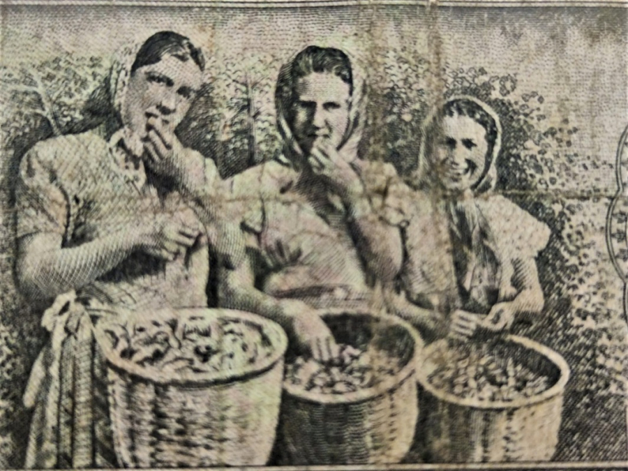 BEŞ TÜRK LİRASI 5. EMİSYON 4. TERTİP H 21  422754 SERİ NUMARALI FINDIK TOPLAYAN KÖYLÜ KIZLARI 5 LİRA KAĞIT PARA 