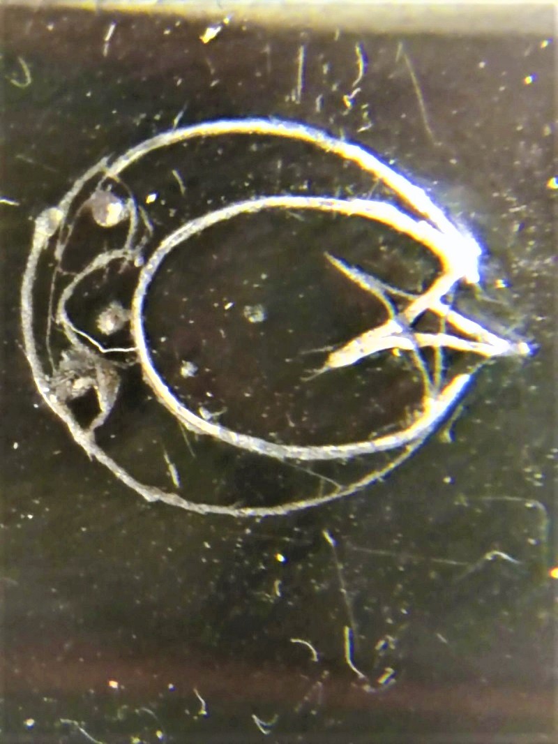 OSMANLI USTA EL YAPIM SİYAH KEHRİBAR AGIZLIK ÜZERİNDE TURA VE AY YILDIZ  BULUNMAKTADIR