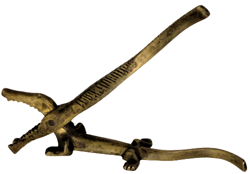 1950 SARI PİRİNC TİMSAH ŞEKLINDE COK ŞIK TASARLANMIŞ EL TESVİYESİYLE ŞEKİLLENDİRİLMİŞ GEVİZ FINDIK KIRACAGI