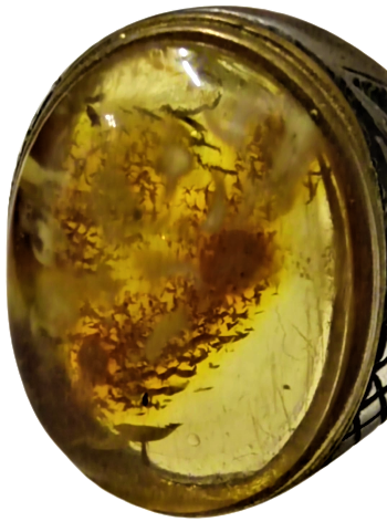 1960 GÜMÜŞ VE BALTIK HARELİ KEHRİBAR PİRİNC CERVEYE OTURTMA USTA İŞCİLİKLİ ÖZEL TASARIM GÜMÜŞ EL YAPIM YÜZÜK