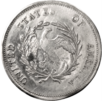 LİBERTY 1796 UNİTED STATES OF AMERICA  SİLVER ONE DOLLAR GÜMÜŞ 1 AMERİKAN DOLARI ( replikadır )