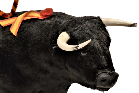 İSPANYADA BOGA GÜREŞLERİNDE ARENEDA MATODORLA GÜREŞEN GÜREŞCİ BOGA 